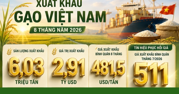 Xuất khẩu gạo Việt Nam 8 tháng năm 2026: Infographic