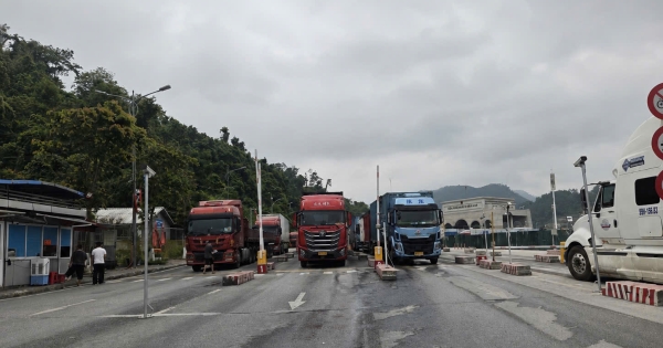 Cập nhật tin xuất nhập khẩu qua các cửa khẩu Lạng Sơn ngày 16/8/2026
