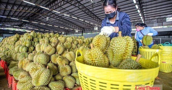 Thị trường điều chỉnh SPS: Lưu ý cho nông sản xuất khẩu Việt Nam