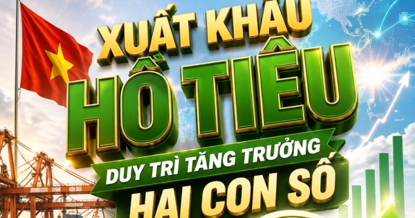 Việt Nam duy trì tăng trưởng xuất khẩu hồ tiêu hai con số