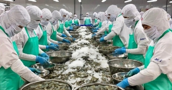 Hoa Kỳ tăng cường kiểm soát thủy sản nhập khẩu: Doanh nghiệp Việt cần lưu ý gì?