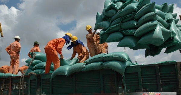 Bộ Công Thương thúc đẩy xuất khẩu gạo bền vững, hiệu quả