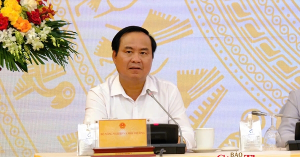 Thúc đẩy tăng trưởng xuất khẩu nông sản: Giải pháp từ Bộ Công Thương