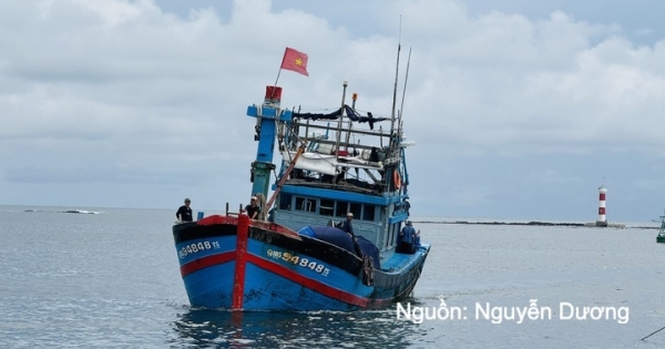 Kiểm soát chặt thủy sản xuất khẩu sang EU để gỡ 'thẻ vàng' IUU