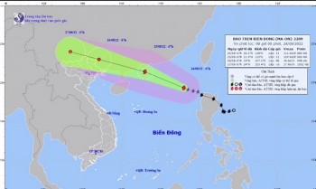 Tập đoàn EVN chủ động ứng phó với bão số 3 (Ma-On)
