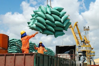 Nghị quyết 128/NQ-CP: “Chìa khóa” quyết định để phục hồi kinh tế