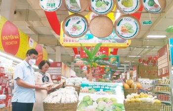 Quảng Ninh: Chủ động chuẩn bị nguồn hàng phục vụ dịp Tết