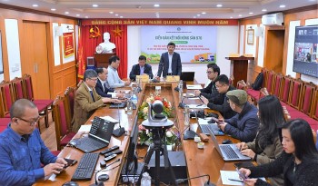 Xuất khẩu nông sản sang thị trường Trung Quốc: Doanh nghiệp cần lưu ý gì?