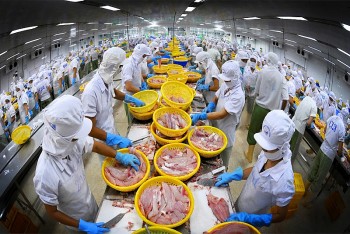 Việt Nam trở thành điểm đến hấp dẫn để các hoạt động đầu tư, kinh doanh bền vững