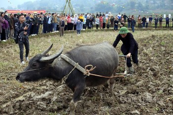 Lễ hội Lùng tùng - Lễ xuống đồng của dân tộc Thái Tây Bắc
