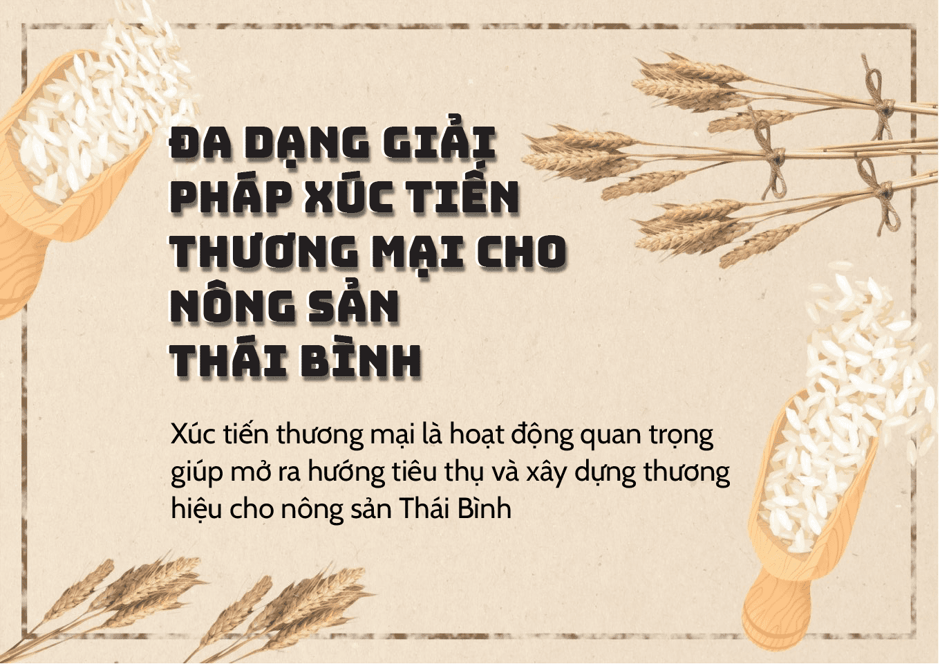 Longform | Đa dạng giải pháp xúc tiến thương mại cho nông sản Thái Bình