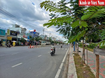 Nông thôn mới trong phố ở xã Đông Thạnh, TP. Hồ Chí Minh