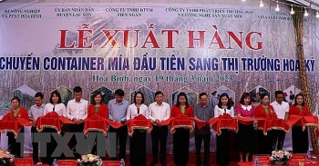 Hòa Bình xuất khẩu lô hàng mía tươi đầu tiên sang Hoa Kỳ