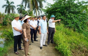 TP. Hải Phòng: Dự án Đầu tư xây dựng đường nối tỉnh lộ 354 bị chậm tiến độ