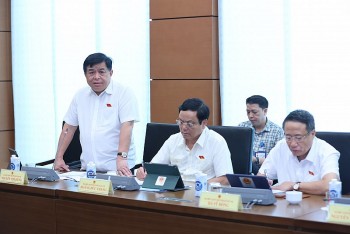Nhiều doanh nghiệp 