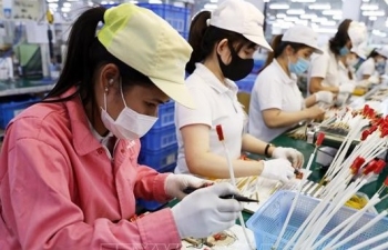 Hải Phòng: Nỗ lực hỗ trợ doanh nghiệp tiếp cận thị trường FTA