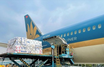 Vải thiều vận chuyển bằng máy bay tăng vọt