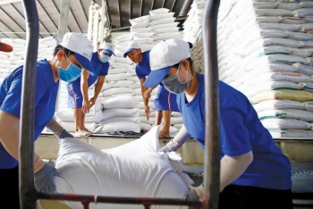 Ấn Độ cấm xuất khẩu gạo: Cơ hội 