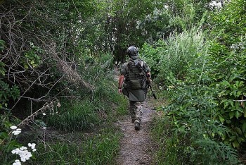 Chiến sự Nga - Ukraine hôm nay ngày 11/8/2023: Kiev muốn thay Bộ trưởng Quốc phòng