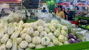 Kinh tế dần lấy lại đà tăng trưởng