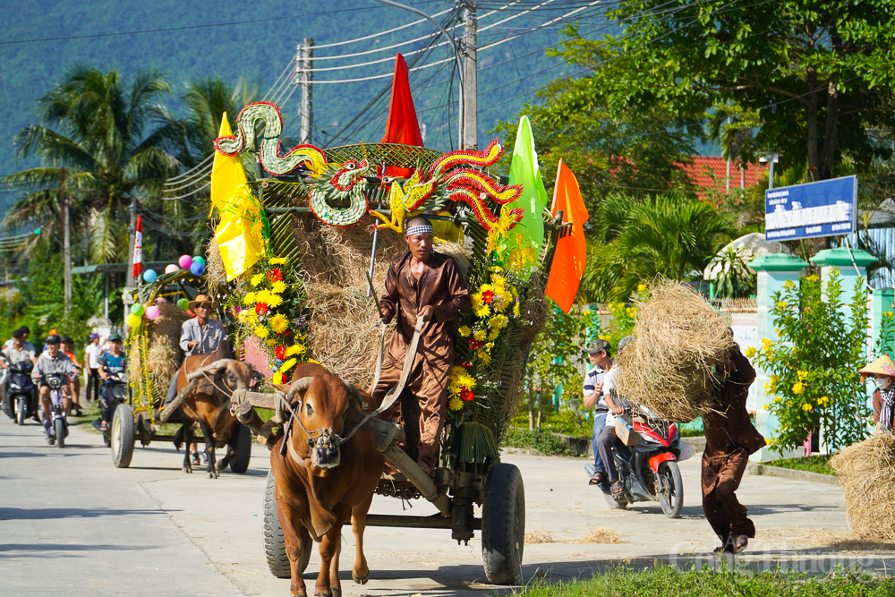 Khánh Hòa: Nhà nông trổ tài đua xe bò