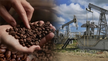 Thị trường hàng hóa hôm nay ngày 21/8/2023: Giá hàng hóa nguyên liệu thế giới tiếp tục sụt giảm