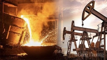 Thị trường hàng hóa hôm nay ngày 22/8/2023: Giá dầu, giá ngô quay đầu giảm; giá đồng và giá sắt tăng