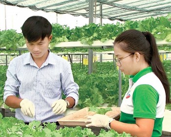 Đổi thay trên quê hương Nam Kỳ khởi nghĩa