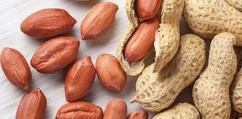 Hạt lạc - 