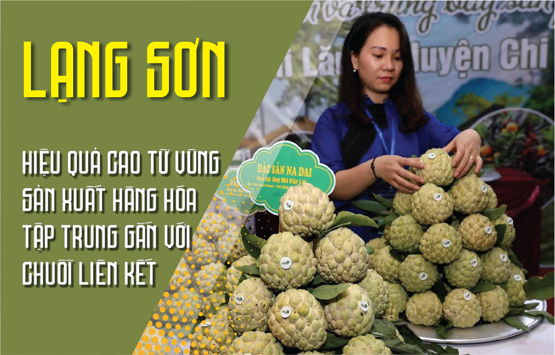 Longform | Lạng Sơn: Hiệu quả cao từ vùng sản xuất hàng hóa tập trung gắn với chuỗi liên kết