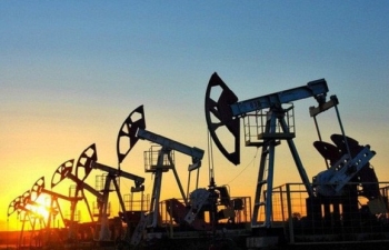 Cắt giảm nguồn cung đẩy giá dầu tiếp đà tăng trong tuần