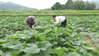 Lạng Sơn: Đầu tư có trọng tâm, trọng điểm đối với vùng đồng bào dân tộc thiểu số và miền núi