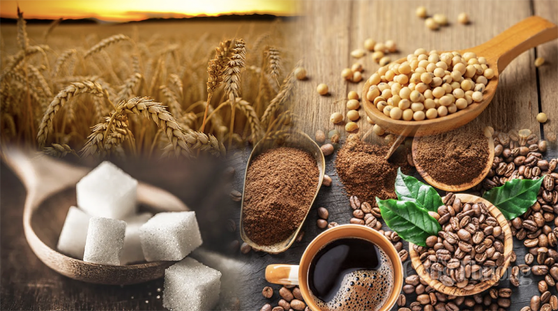 Thị trường hàng hóa hôm nay ngày 2/10: Giá nông sản, đường đồng loạt giảm mạnh