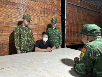 Biên phòng vào cuộc vụ trâu, bò lậu 