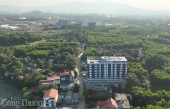 Chung cư mini gần 200 căn sai phép: Sở Xây dựng nêu bất thường, lập đoàn liên ngành để xử lý