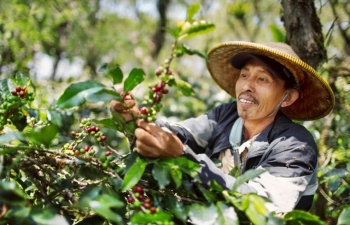 Xuất khẩu hàng hóa sang Algeria: Triển vọng đi kèm thách thức