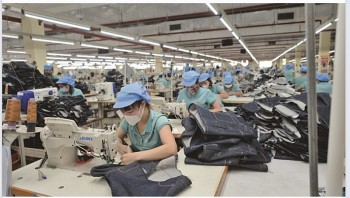 Ngược 'sóng' suy giảm, May 10 báo lãi cao thứ hai trong lịch sử hoạt động