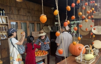 Lâm Đồng: Vườn hồng Lễ Vân – điểm đến không thể bỏ lỡ trong mùa thu Đà Lạt