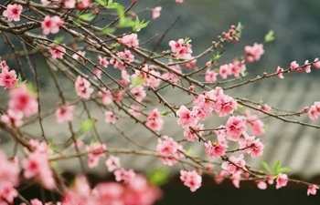 Tết Nguyên đán và Quốc khánh năm 2024 được nghỉ bao nhiêu ngày?