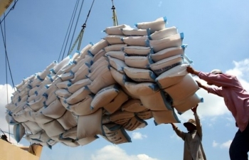 Thúc đẩy hoạt động xuất khẩu gạo của Việt Nam vào Trung Quốc