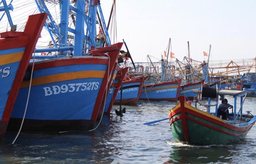 Thủ tướng Chính phủ yêu cầu tỉnh Bà Rịa – Vũng Tàu tổ chức kiểm điểm trách nhiệm