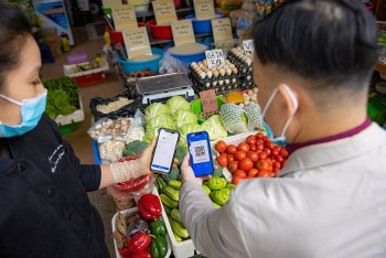 Việt Nam tiếp tục tăng trưởng kinh tế số nhanh nhất khu vực