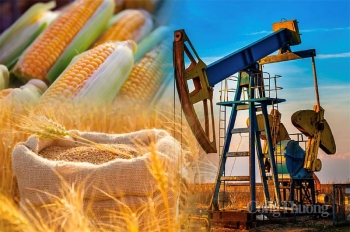 Thị trường hàng hóa hôm nay ngày 8/11/2023: Chỉ số MXV-Index xuống thấp nhất trong một tháng