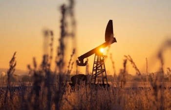 Sắc xanh áp đảo bảng giá nông sản, giá dầu duy trì đà tăng