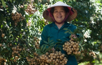 Hòa Bình: Mô hình khởi nghiệp, tạo việc làm cho đồng bào dân tộc thiểu số