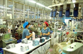 Hải Phòng: Đẩy mạnh hỗ trợ doanh nghiệp tận dụng cơ hội từ Hiệp định EVFTA