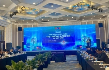 Cần hoàn thiện chính sách thúc đẩy đầu tư phát triển thị trường điện khí