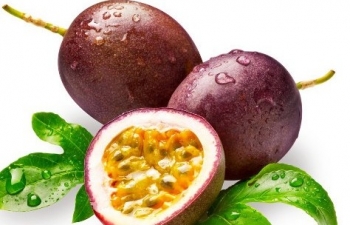 Lợi ích 