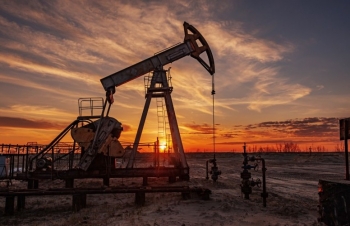 Sắc đỏ áp đảo bảng giá nông sản, giá dầu duy trì đà tăng