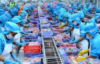 Việt Nam là đối tác quan trọng của EU trong khu vực ASEAN